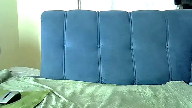 Show webcam de DickMatiser-