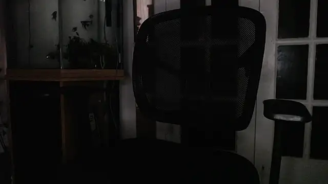 EspanolVato's Webcam Show