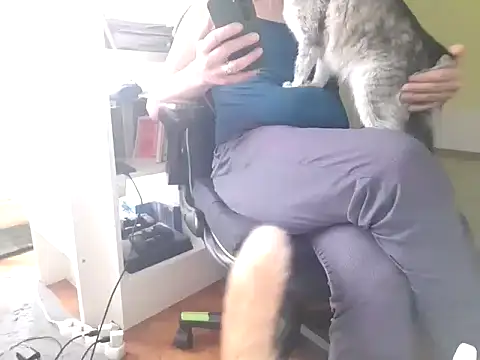 feathersify Show Webcam