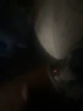 biggzee6: διαδικτυακό σόου στην κάμερα
