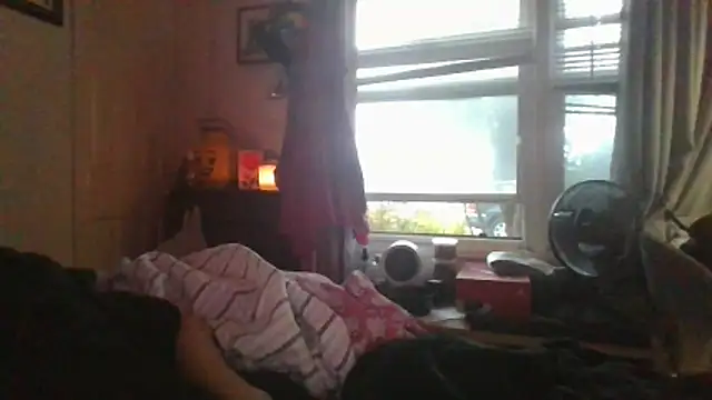Chat XXX en directo de ajsin7