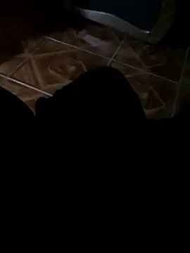 holagato22's Webcam Show