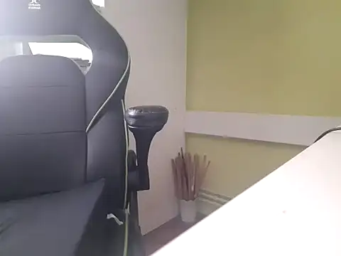 Webkamerová show feathersify