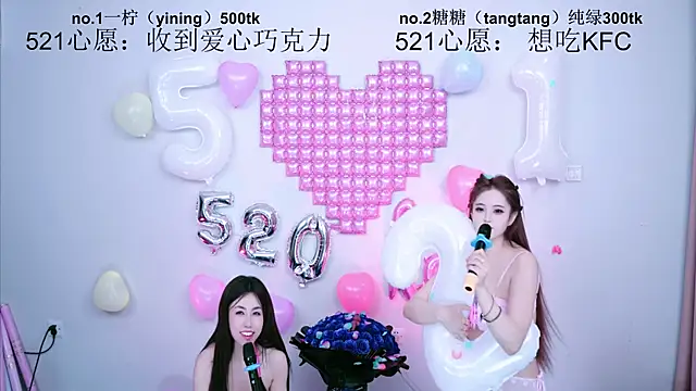 CCTW-100 Show Webcam