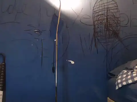 Fabrissi 网络视讯表演