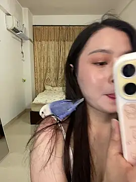 shuzhen66 Show Webcam