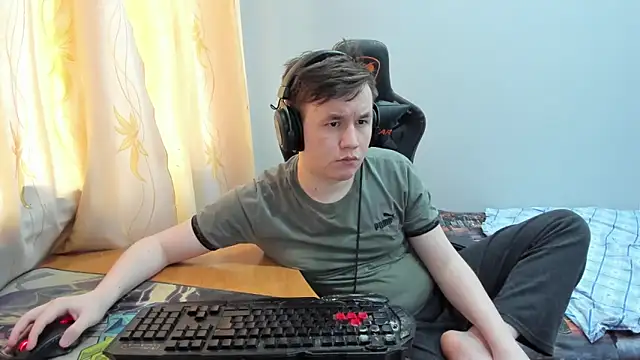 iliaskrisloven Webbikameraesitys