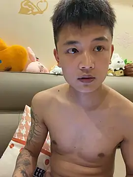 Show Webcam de cizong7