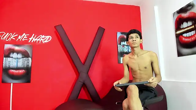 Вебкам-шоу TWINKS_BOYSX