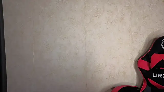 Show webcam de touch_me7
