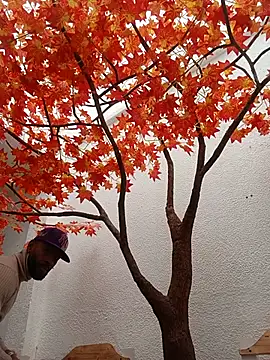 عرض كام Dante_Knox الجنسي المباشر