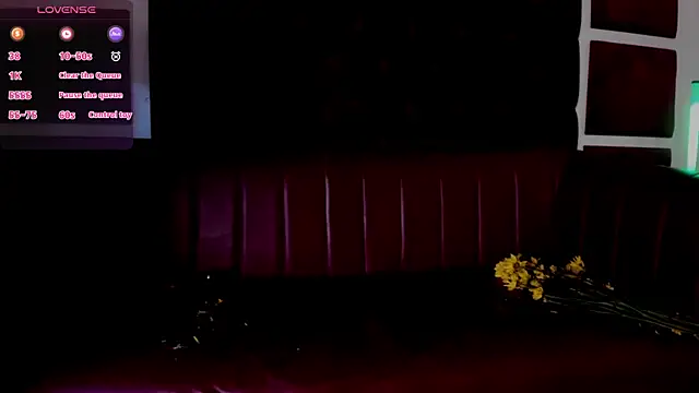 RossMildrey's Webcam Show