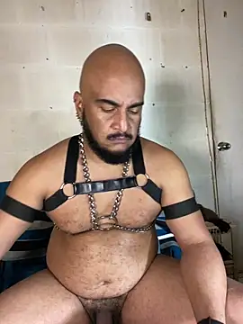 عرض كام the_master_foal_