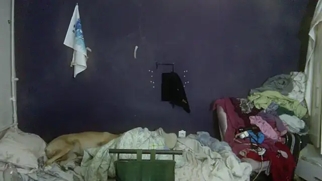 Živý XXX chat turkishTransEfsun