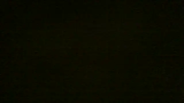 Show Webcam de chichoplus