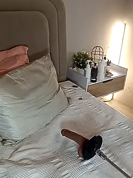 Liastarkk Webcam show