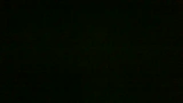 Chichoplus1のウェブカメラショー
