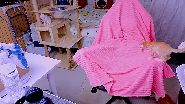 Kana_G's Live XXX Chat