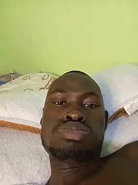 bdick2ke élő XXX-chatje