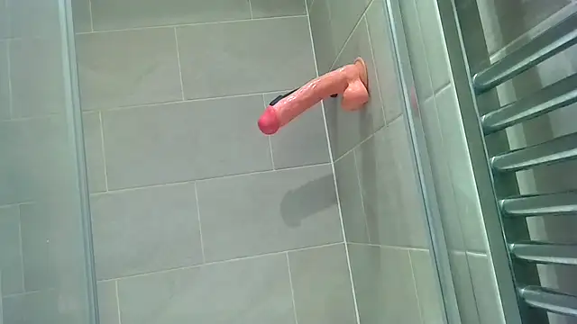 Show Webcam de maskedsub