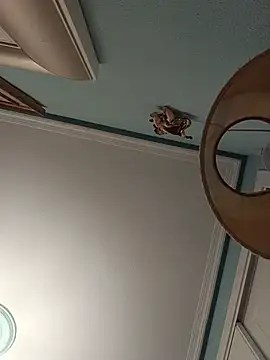 DanTrov79 Webcam show