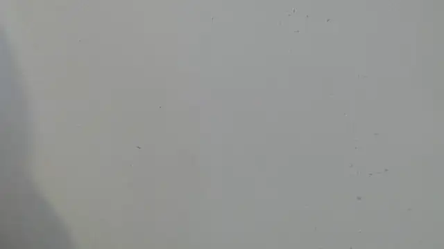 Doll_sary Chat XXX in diretta