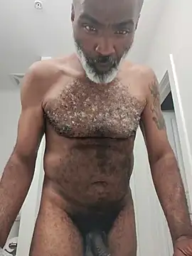 sinnernoir Live XXX-chat
