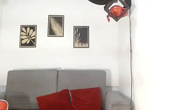 drake_laconten Webbikameraesitys