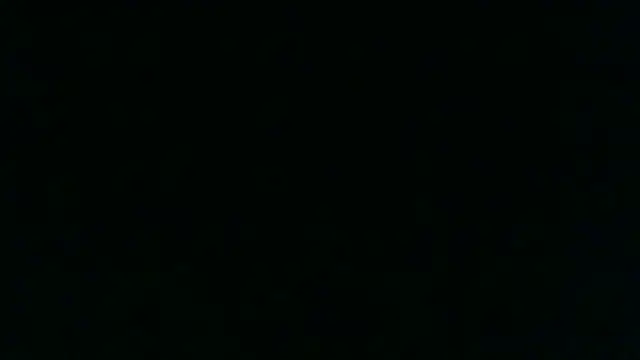 Show Webcam de chichoplus
