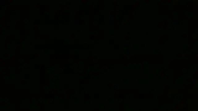 chichoplus' Webcam Show
