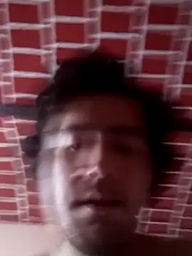 Show webcam de Lotusproject