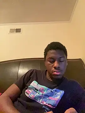 ThickDic28 webcam show