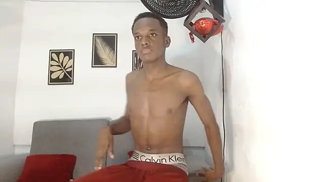 عرض كام drake_laconte