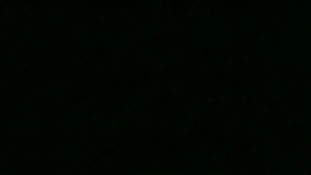chichoplus' Webcam Show