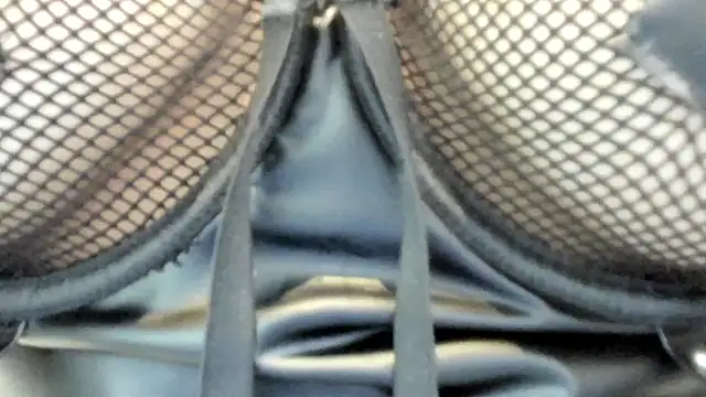 Chatroom XXX en direct de CaroBeltran
