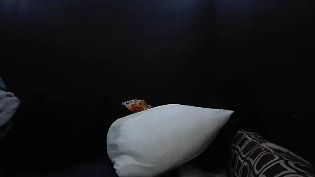 spooky425hdn Live XXX chat
