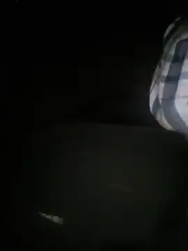 forcebig Pertunjukan Webcam
