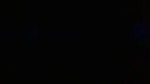 Show de Blauwe_Vinkje na webcam