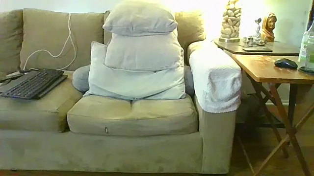 Show Webcam de 9VOLTT