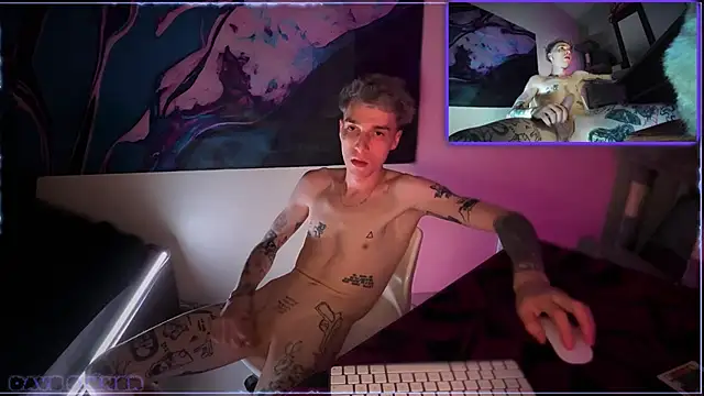 Pertunjukan Kamera Web davesinner