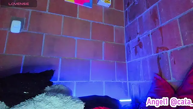 Cata-angel's Live XXX Chat