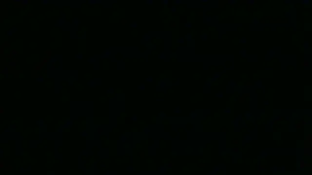chichoplus Webcam Show