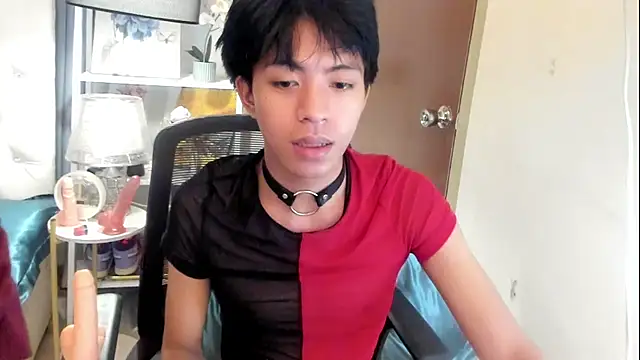 davincihugecock 웹캠 쇼