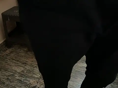 za_yn 在線直播表演