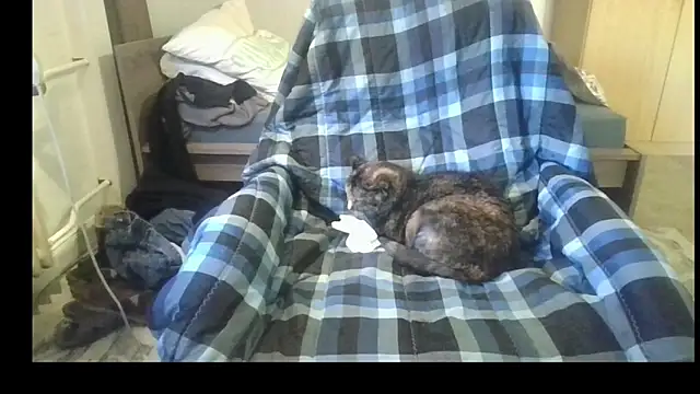 Živý XXX chat Sammy1660