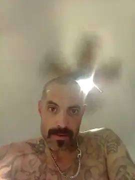 Show Webcam de wesstfine