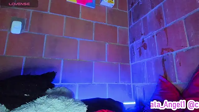Cata-angel – Naživo XXX chat