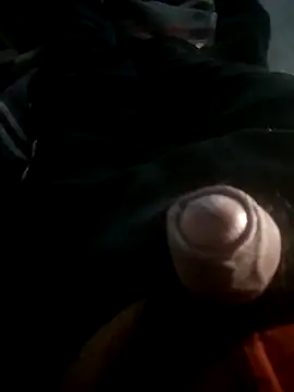 Luis2Luis Webcam Show