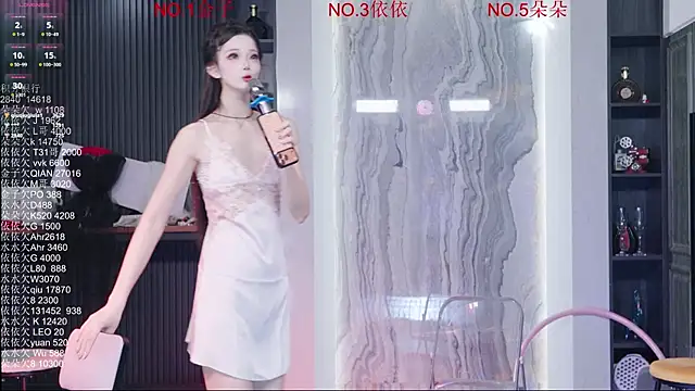 98K_001n Webbikameraesitys