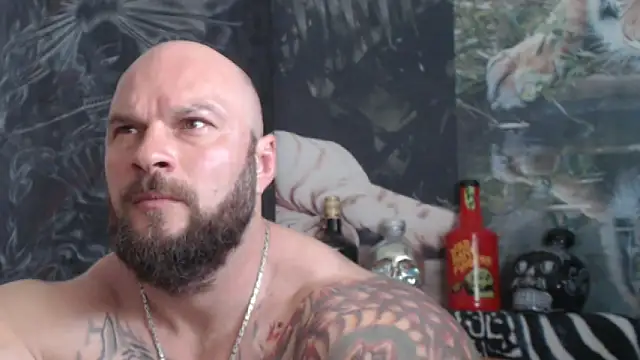viking_30 webcam show